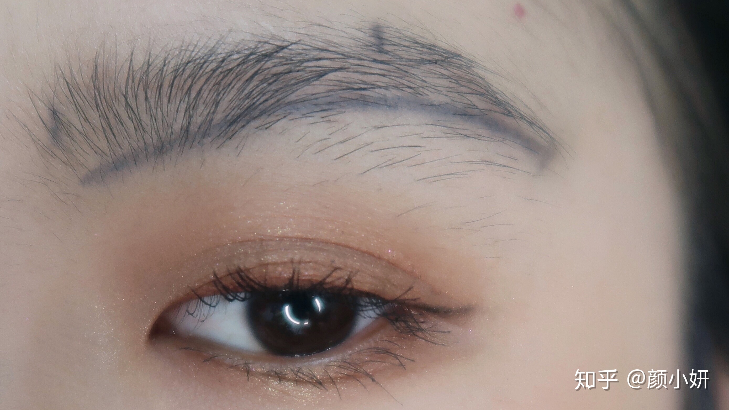 梅州启动防风防汛Ⅳ级应急响应