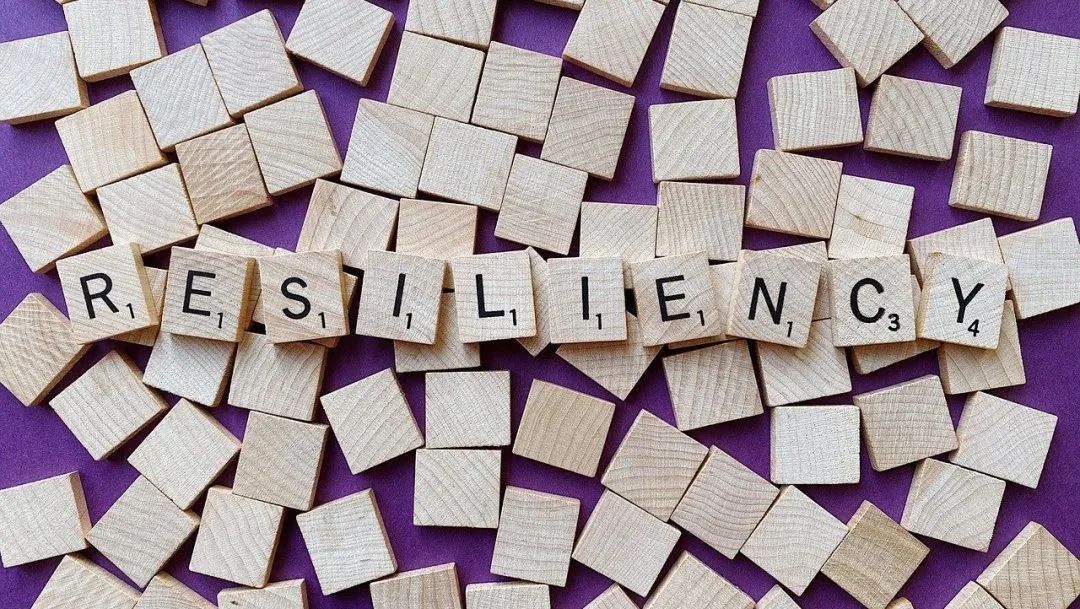 A股收评 | 创业板指上涨0.96%!结构性行情活跃,各板块龙头股创造新高