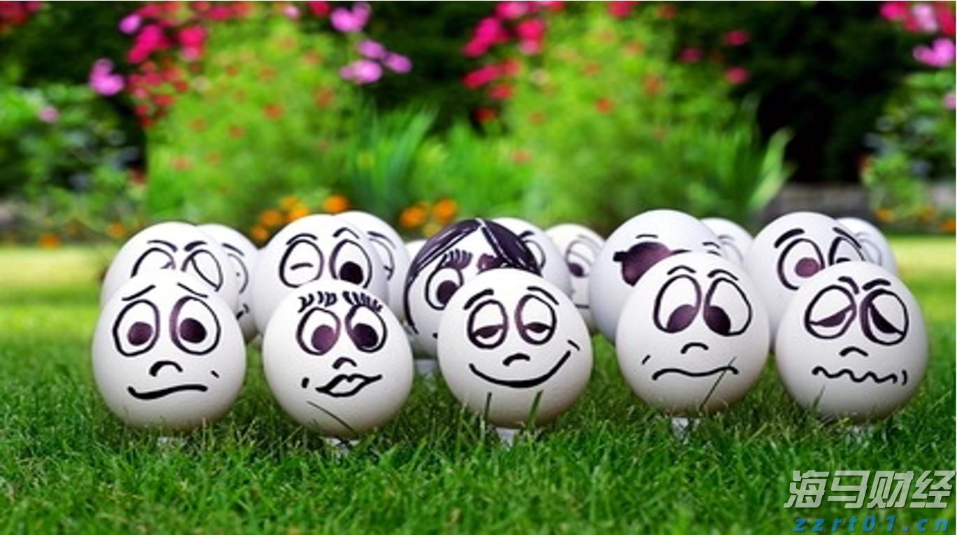 香港各界纪念抗战胜利80周年大型图片及书画展开幕