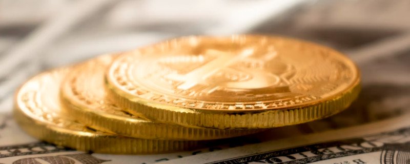 160万亩林地释放“绿色生产力”,张家口林下经济年产值突破3.2亿元