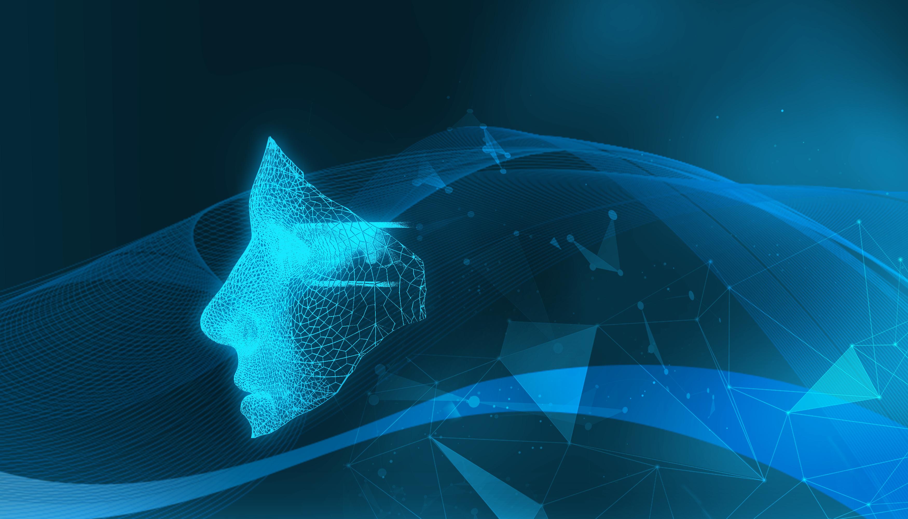 外交部发言人就柬泰达成停火执行及监督安排答记者问