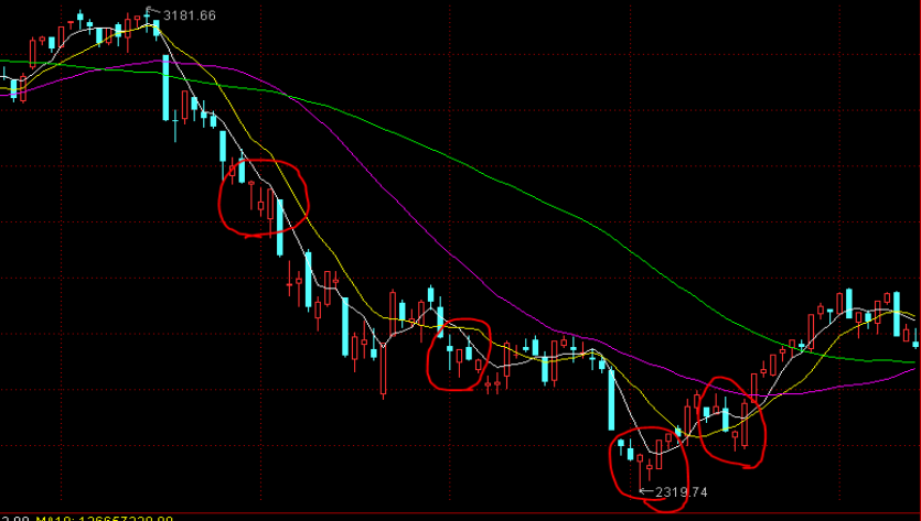 走进河北万全,探秘一根鲜食玉米的蜕变