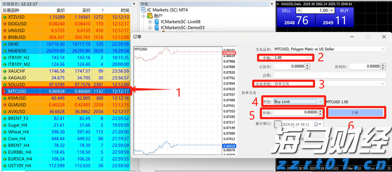 桂平市电商日均销售荔枝130多吨