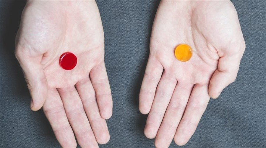 《广东省“百县千镇万村高质量发展工程”农业科技特派员（轻骑兵）发展白皮书》发布